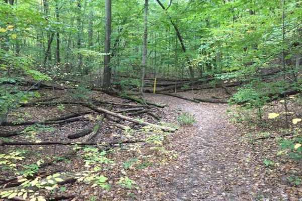 Pontiac Lake State Recreation Area