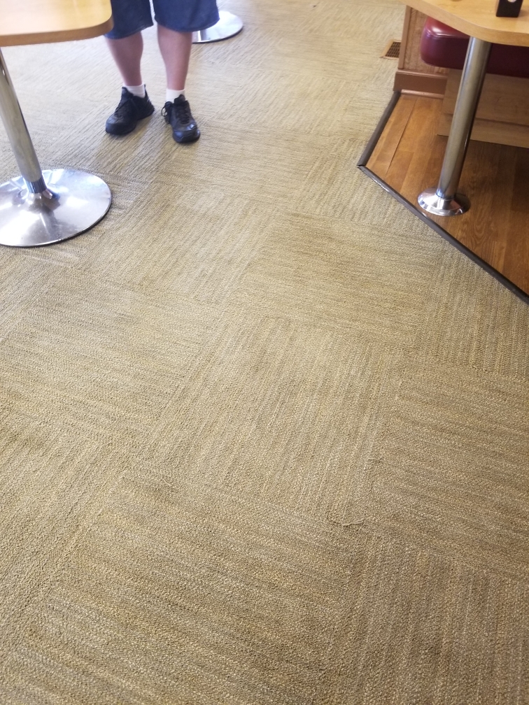 Our Photos Carpet Cleaners in Novi, MI