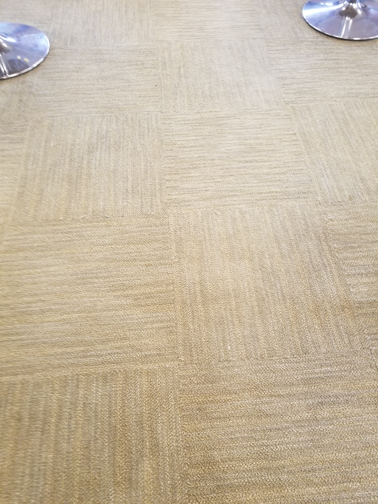 Our Photos Carpet Cleaners in Novi, MI