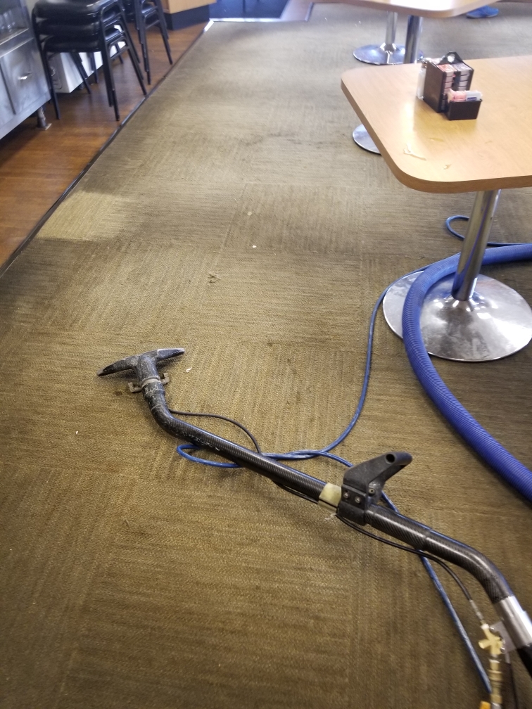 Our Photos Carpet Cleaners in Novi, MI