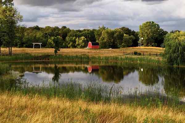 Plymouth Orchard and Cedar Mill